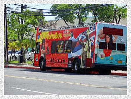 QKăoX@Aloha Bus
